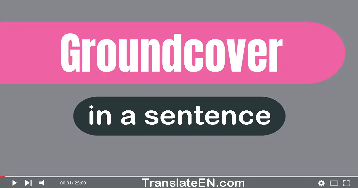 Groundcover in a sentence