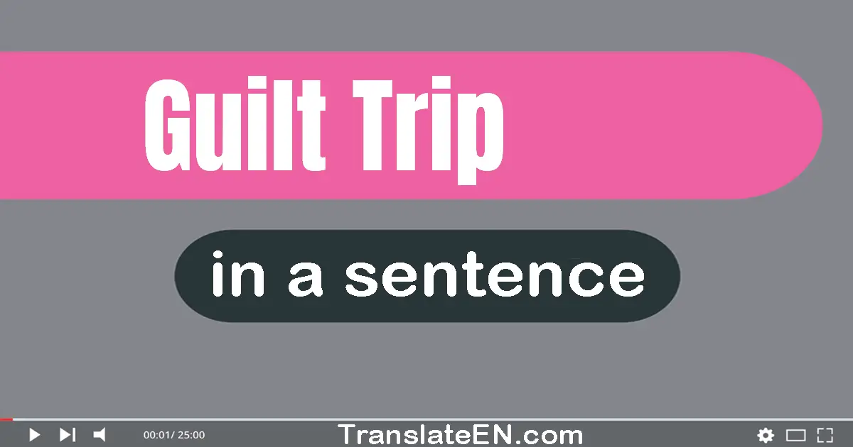 Use "guilt trip" in a sentence | "guilt trip" sentence examples