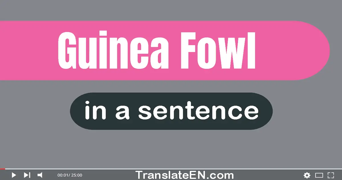 Guinea Fowl in a sentence