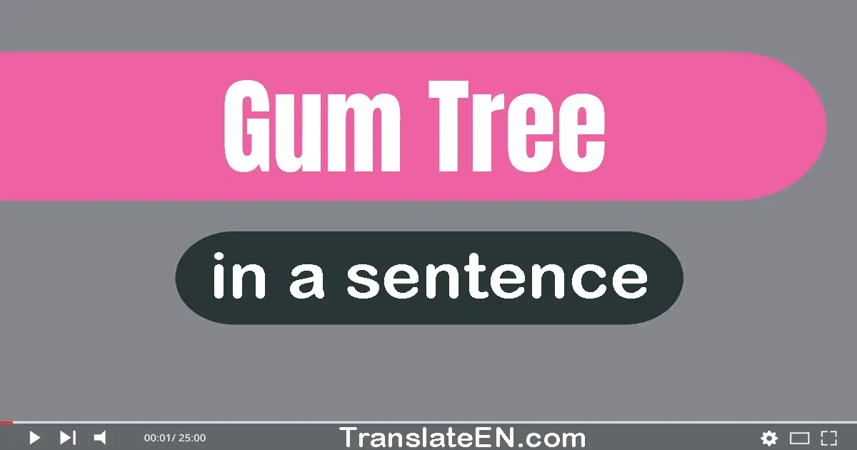 Gum Tree in a sentence