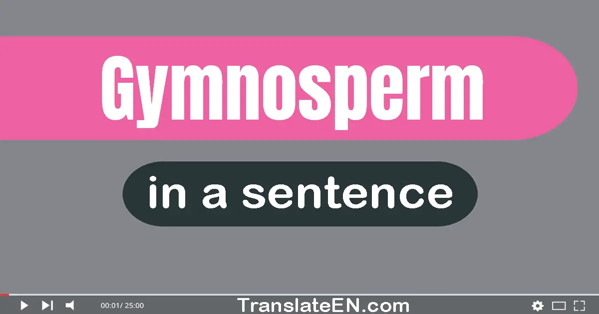 Gymnosperm in a sentence