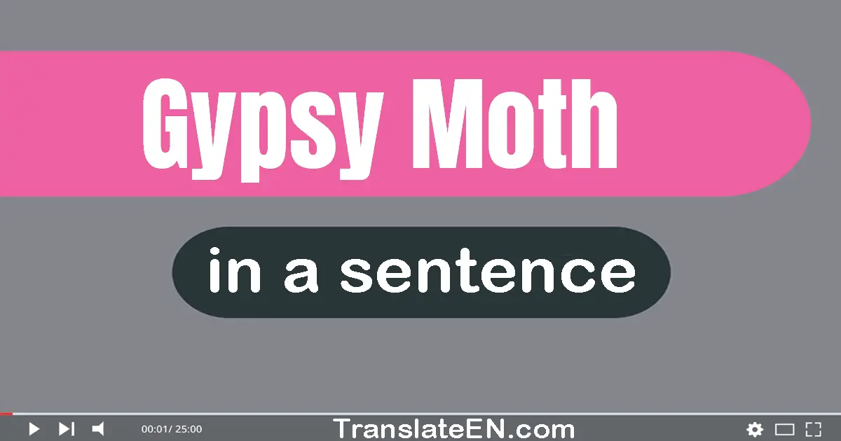 Gypsy Moth in a sentence