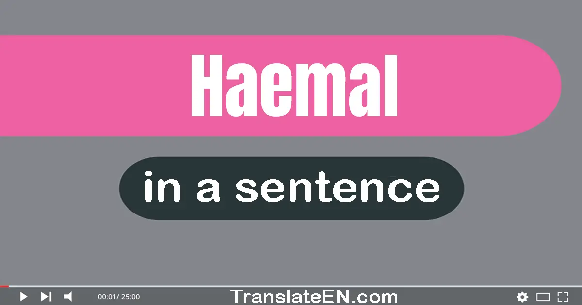 Haemal in a sentence