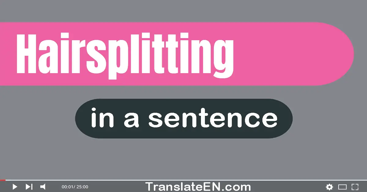 Hairsplitting in a sentence