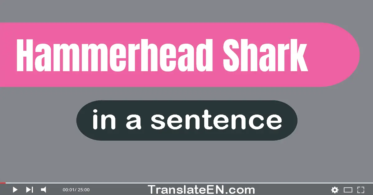 Hammerhead Shark in a sentence