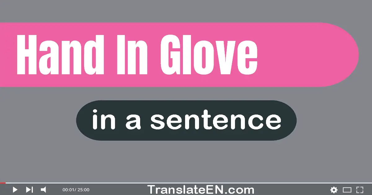 Use "hand in glove" in a sentence | "hand in glove" sentence examples