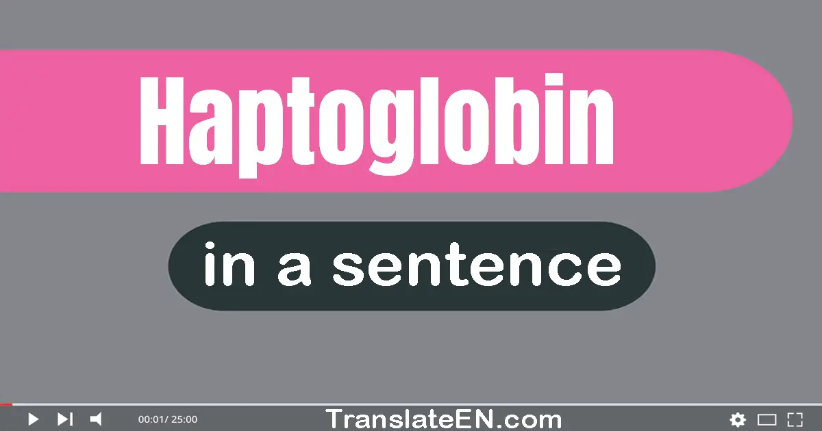 Use "haptoglobin" in a sentence | "haptoglobin" sentence examples