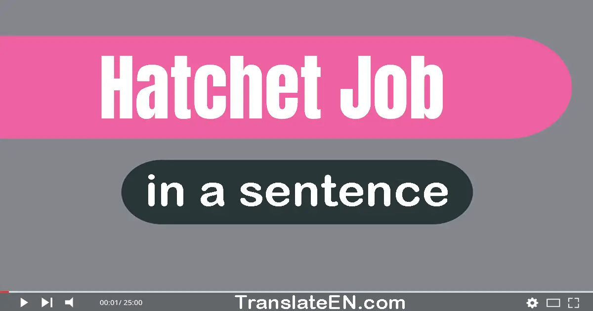 Hatchet Job in a sentence