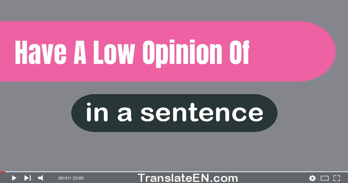 Have A Low Opinion Of in a sentence