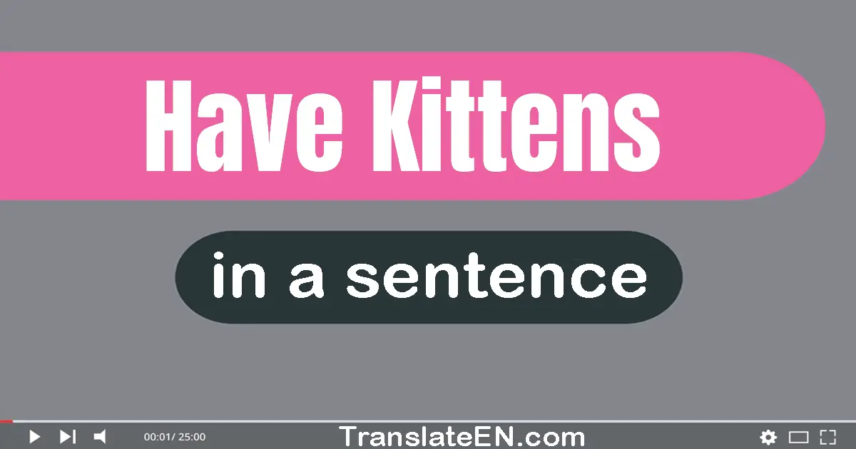 Have Kittens in a sentence