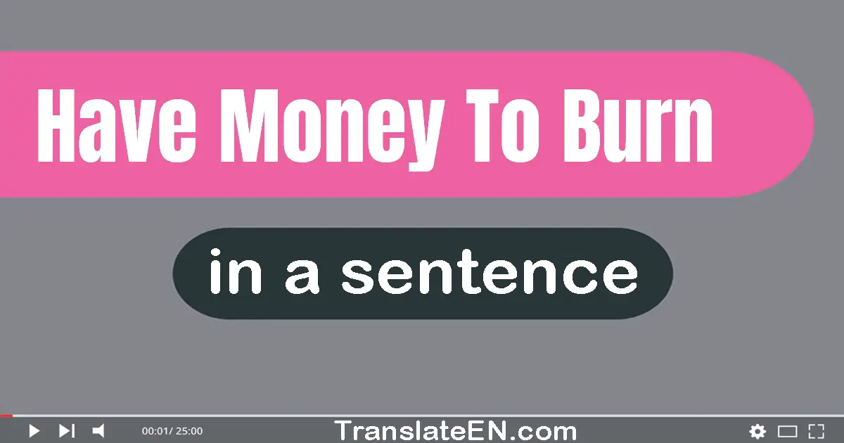 Have Money To Burn in a sentence