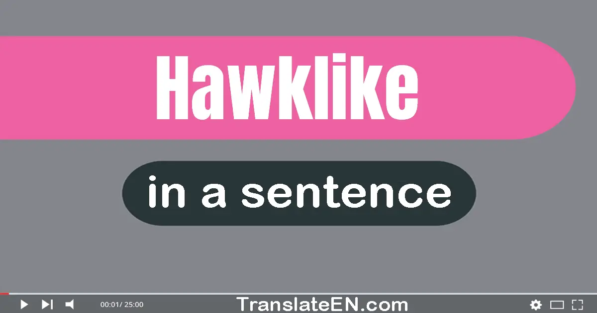 Hawklike in a sentence