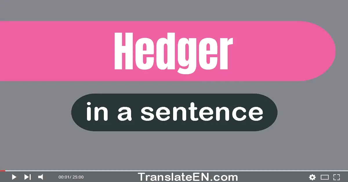 Use "hedger" in a sentence | "hedger" sentence examples