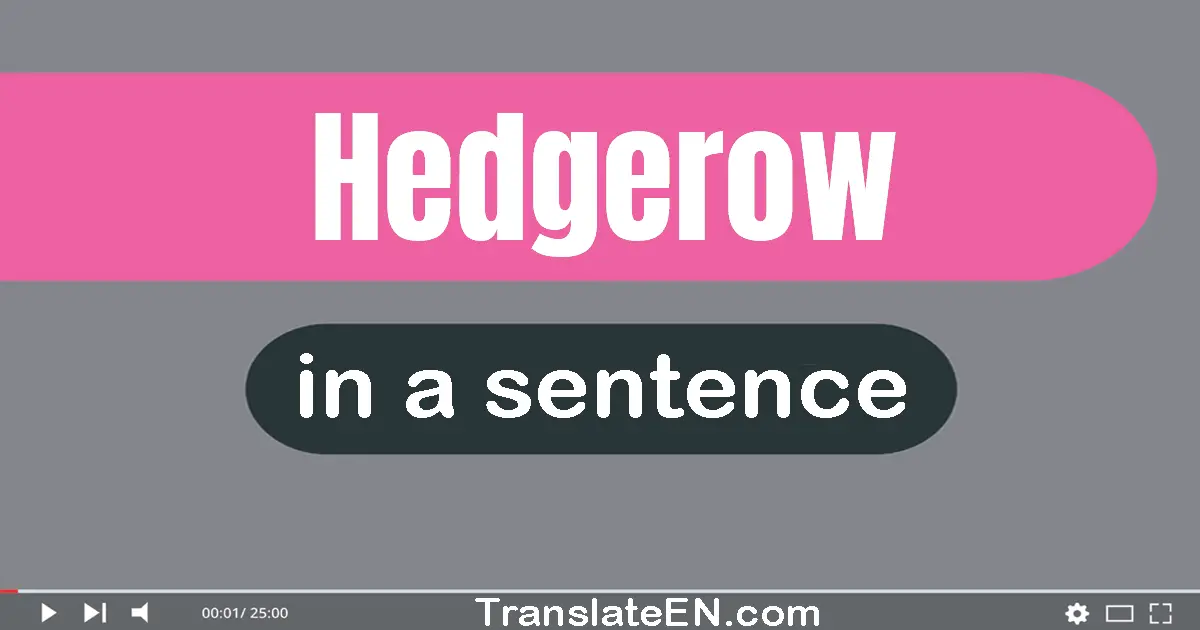 Use "hedgerow" in a sentence | "hedgerow" sentence examples