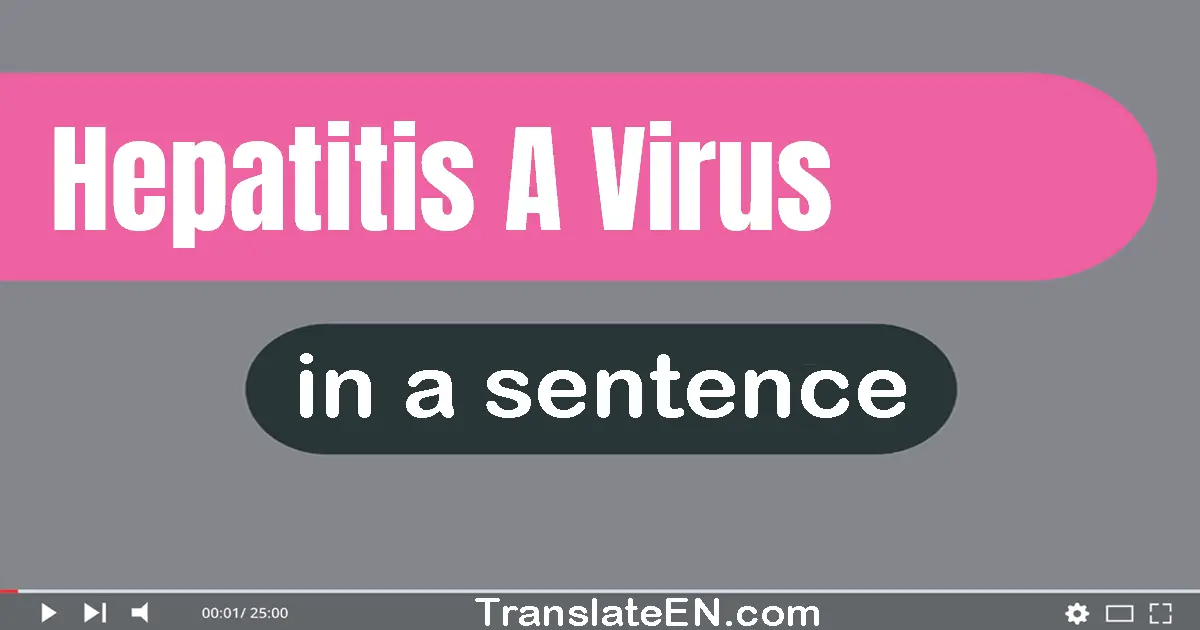 Hepatitis A Virus in a sentence