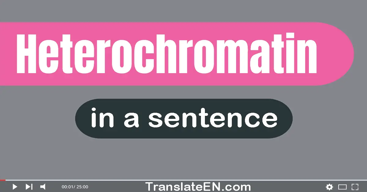 Heterochromatin in a sentence