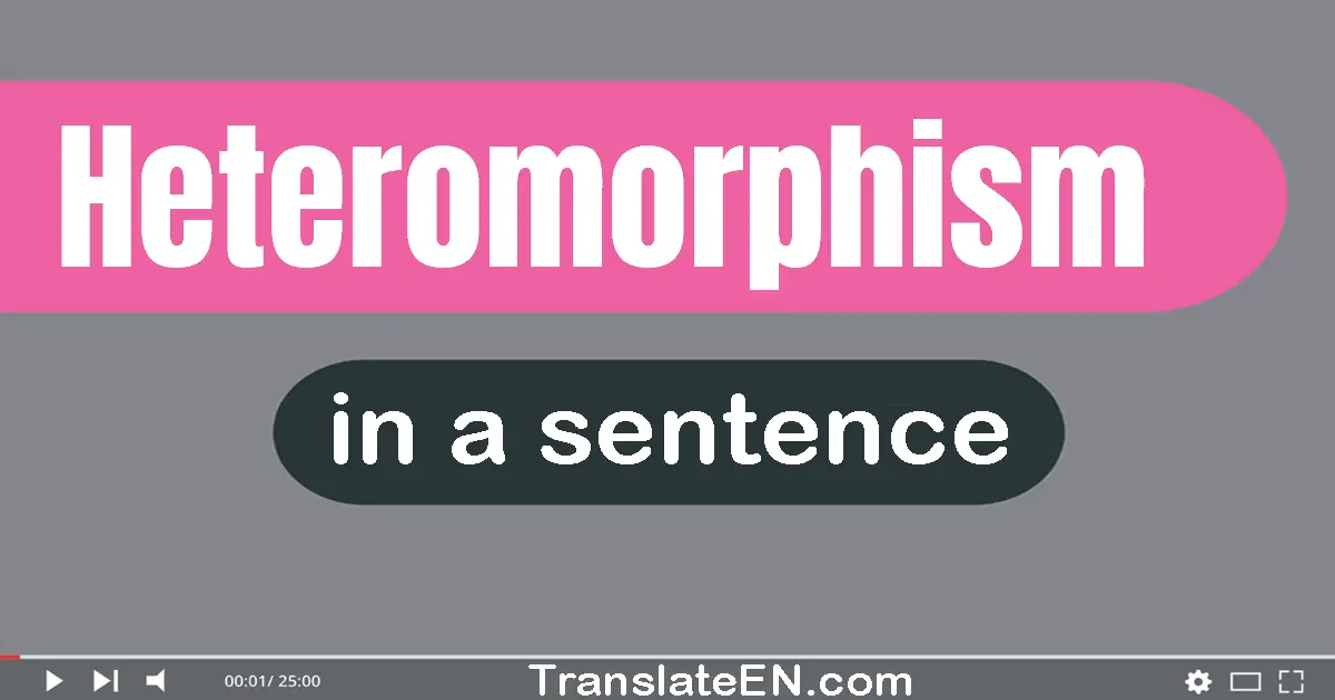 Heteromorphism in a sentence