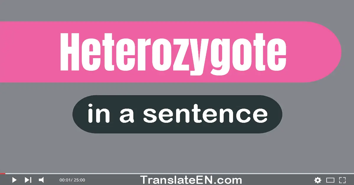 Heterozygote in a sentence