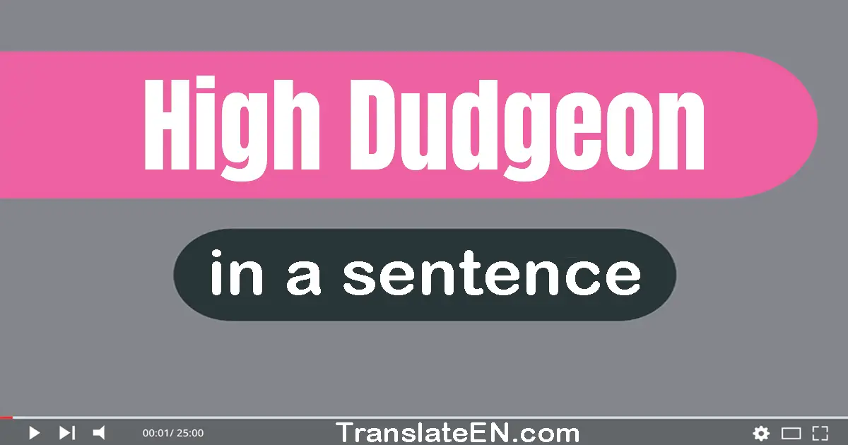 High Dudgeon in a sentence