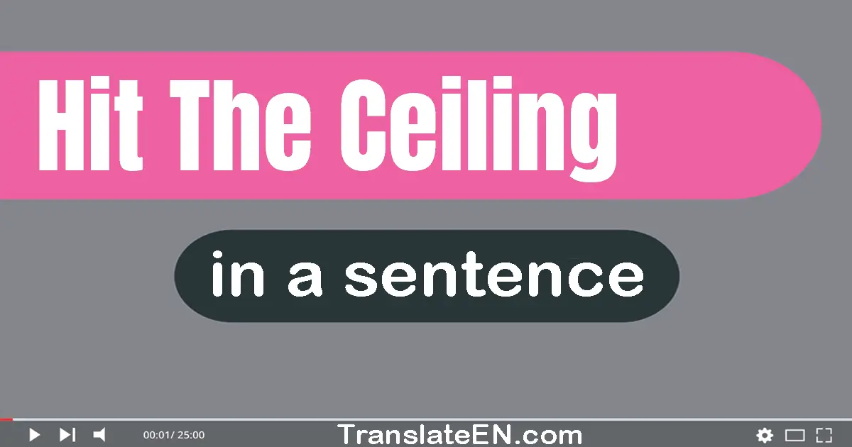 Hit The Ceiling in a sentence