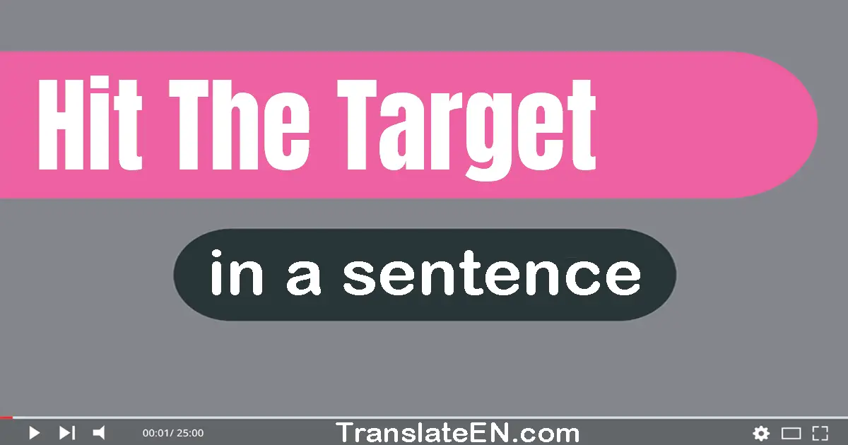 Hit The Target in a sentence