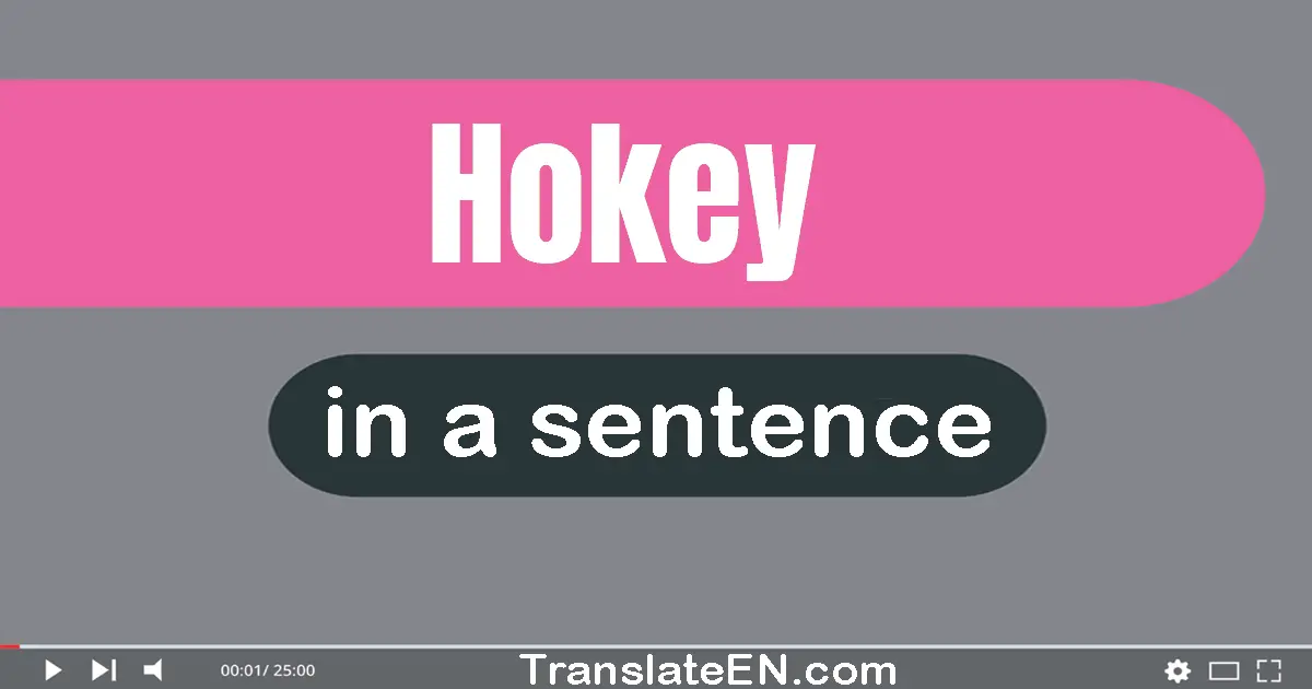 Hokey in a sentence