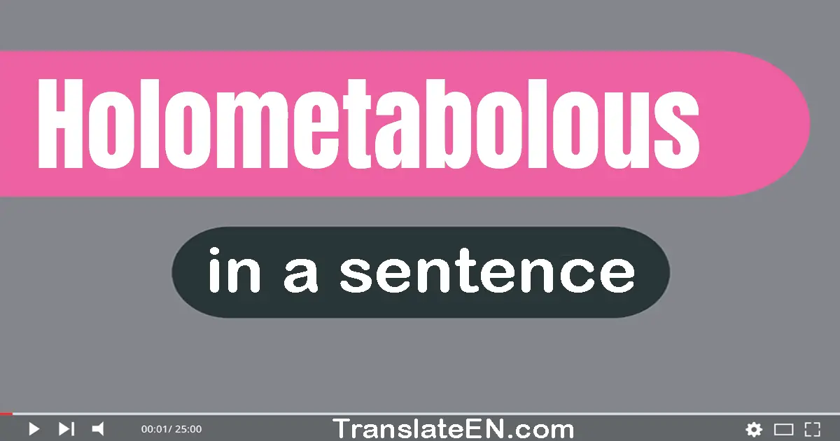 Holometabolous in a sentence