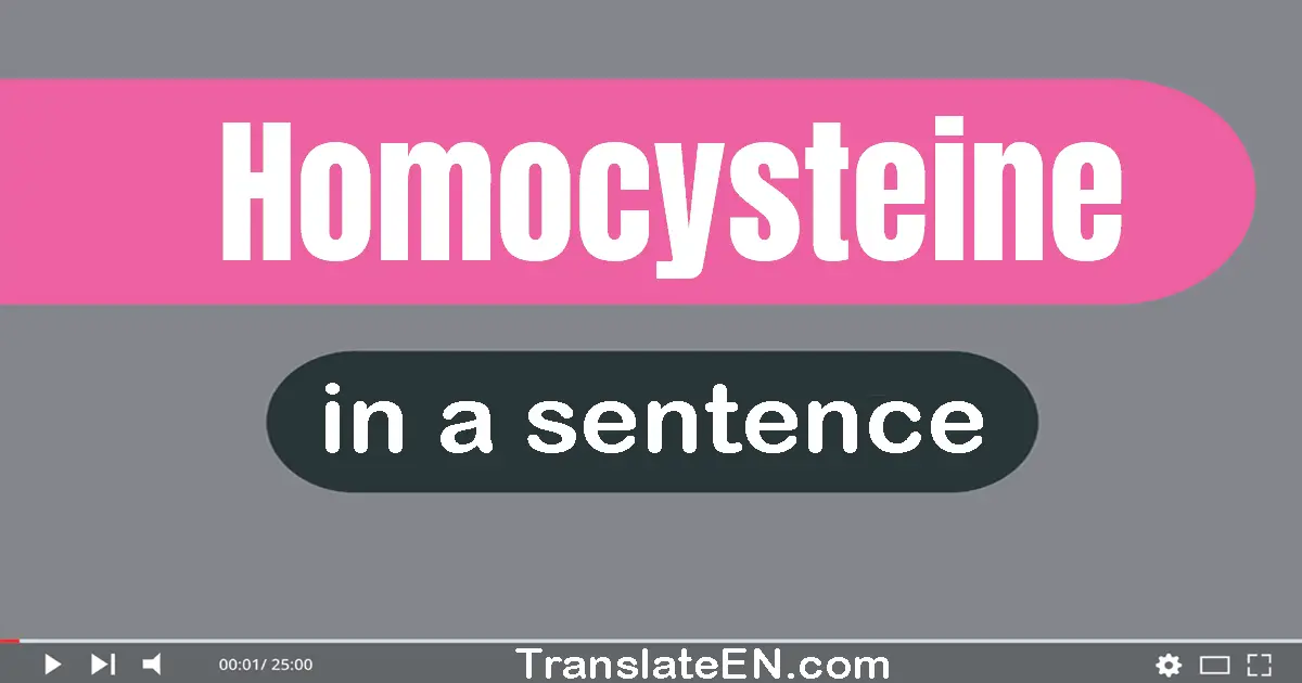 Use "homocysteine" in a sentence | "homocysteine" sentence examples
