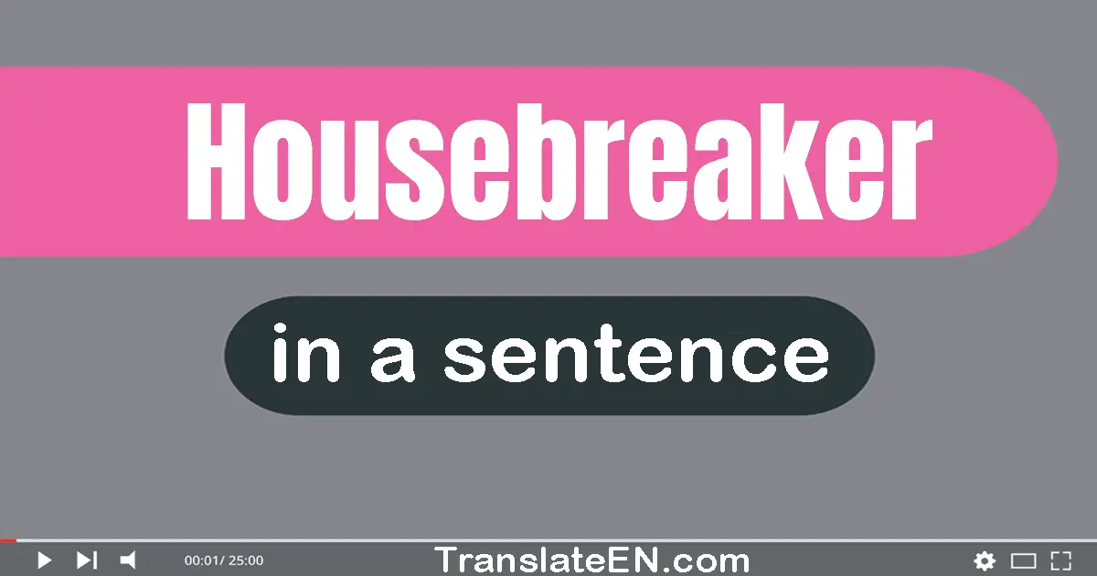 Housebreaker in a sentence