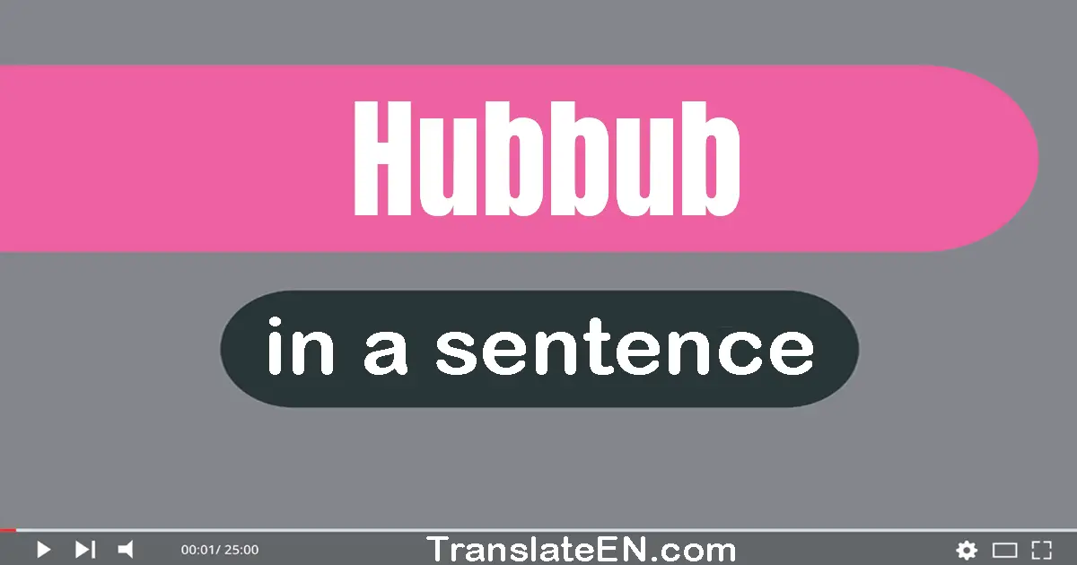Use "hubbub" in a sentence | "hubbub" sentence examples