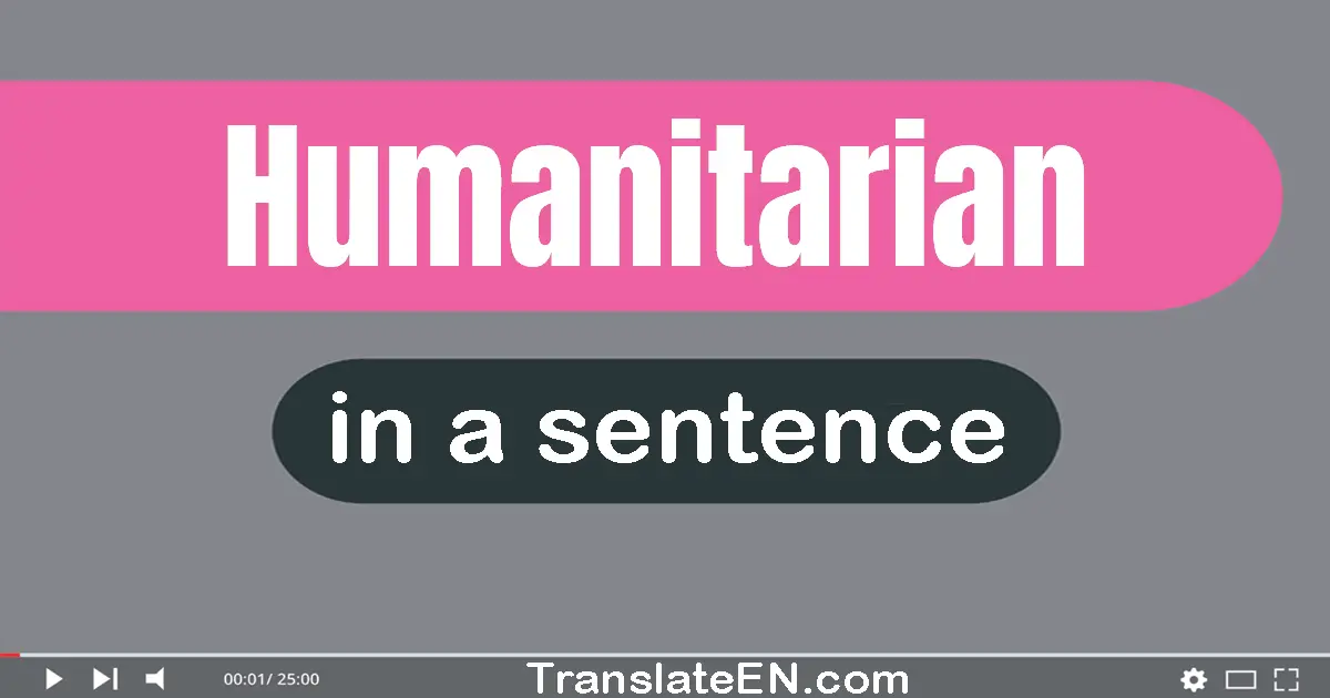 Use "humanitarian" in a sentence | "humanitarian" sentence examples