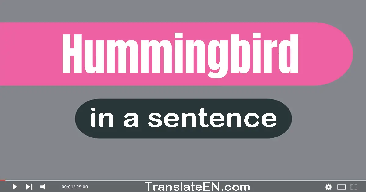 Use "hummingbird" in a sentence | "hummingbird" sentence examples