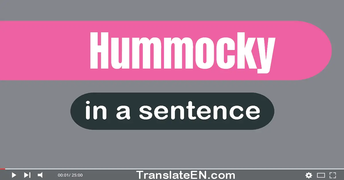 Use "hummocky" in a sentence | "hummocky" sentence examples
