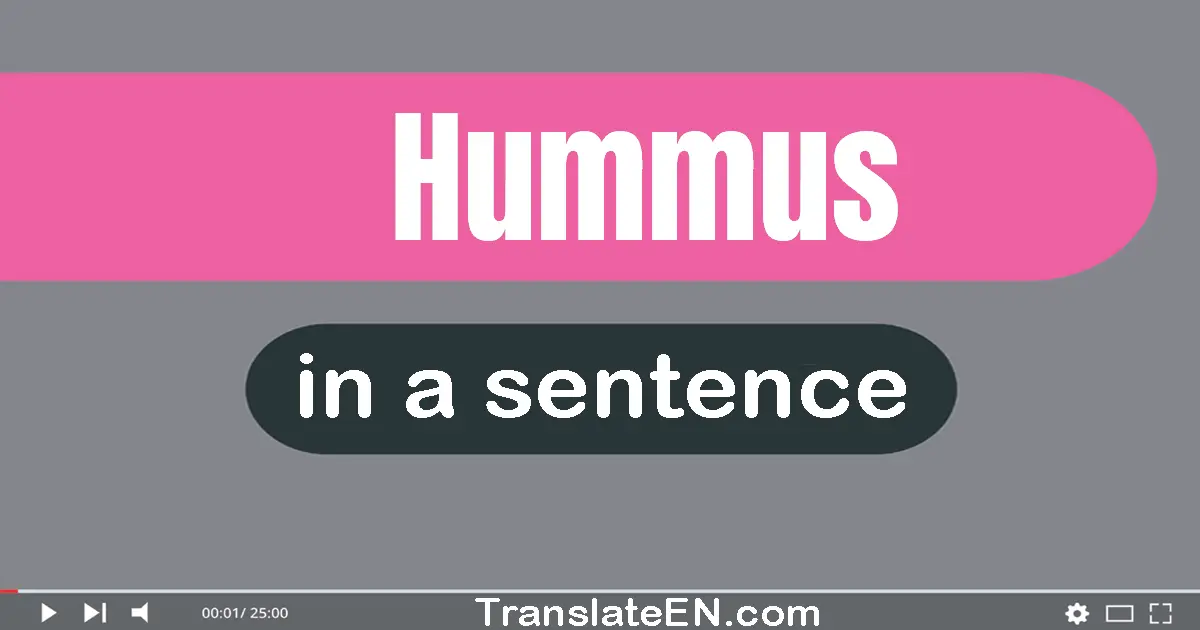 Use "hummus" in a sentence | "hummus" sentence examples