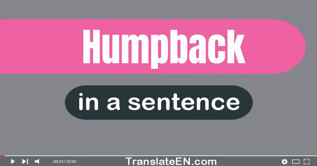 Use "humpback" in a sentence | "humpback" sentence examples