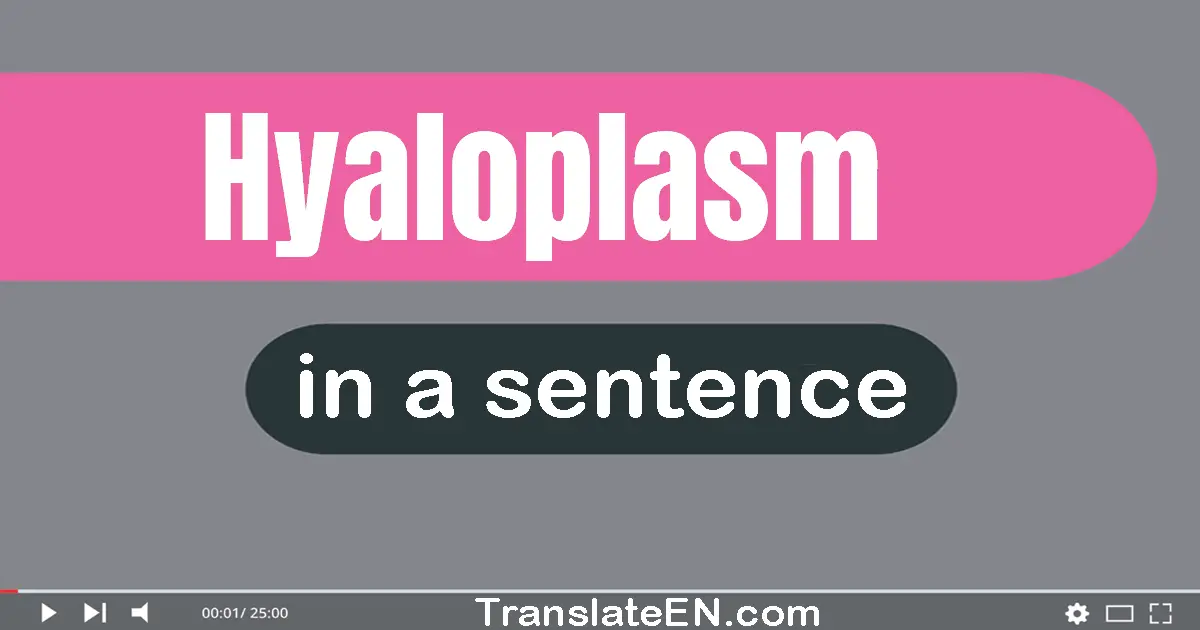 Hyaloplasm in a sentence