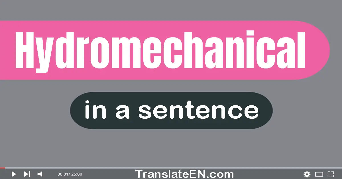 Use "hydromechanical" in a sentence | "hydromechanical" sentence examples