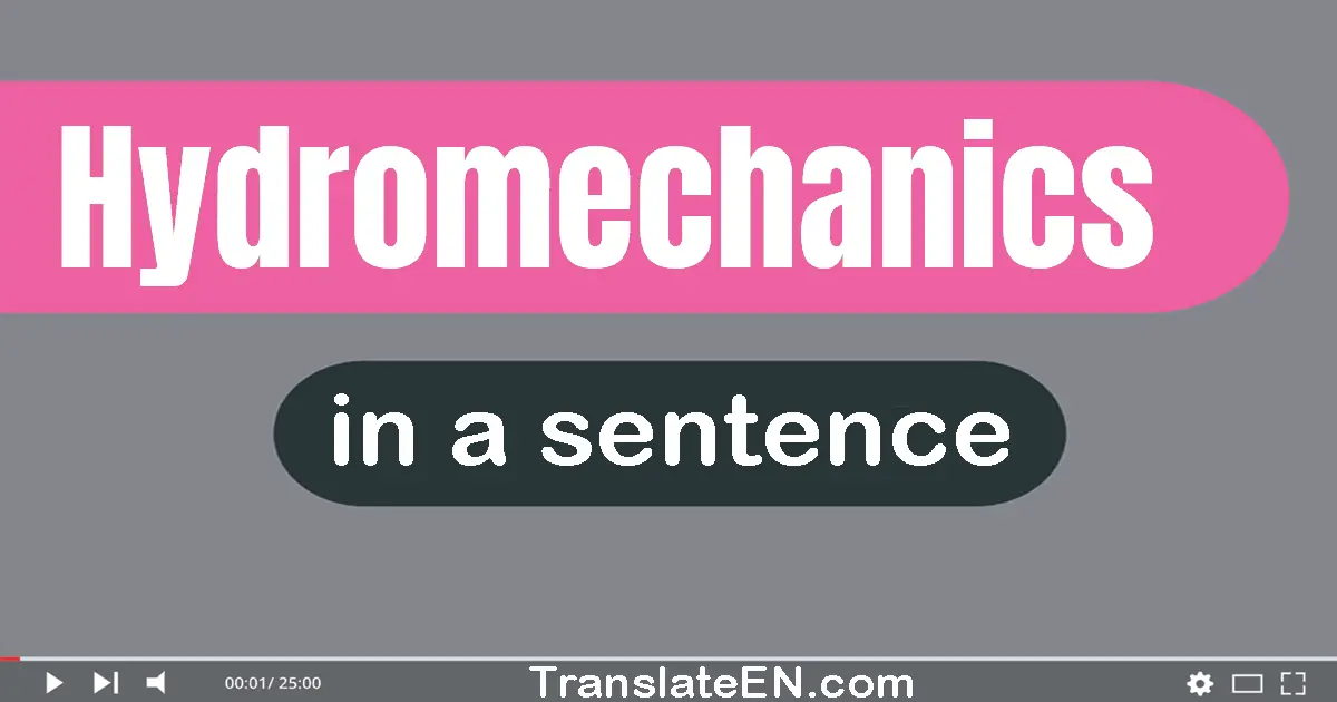 Use "hydromechanics" in a sentence | "hydromechanics" sentence examples
