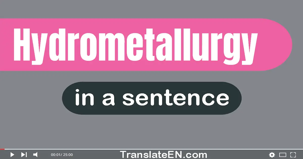 Use "hydrometallurgy" in a sentence | "hydrometallurgy" sentence examples