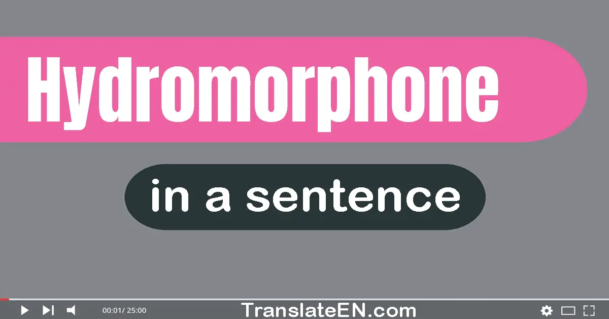 Use "hydromorphone" in a sentence | "hydromorphone" sentence examples