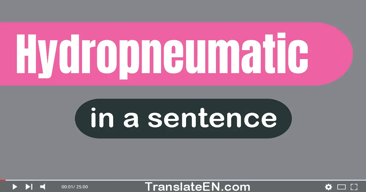 Use "hydropneumatic" in a sentence | "hydropneumatic" sentence examples