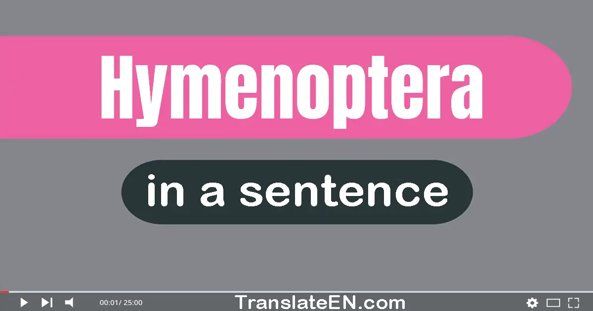 Hymenoptera in a sentence