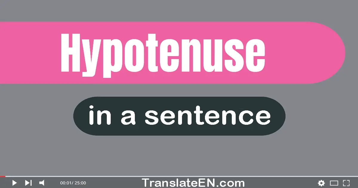 Use "hypotenuse" in a sentence | "hypotenuse" sentence examples