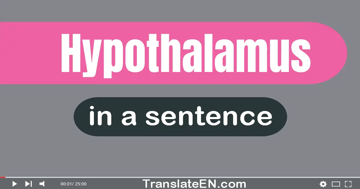 Use "hypothalamus" in a sentence | "hypothalamus" sentence examples