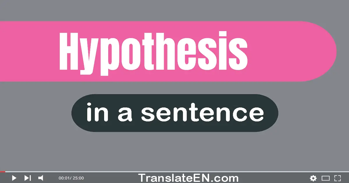 Use "hypothesis" in a sentence | "hypothesis" sentence examples