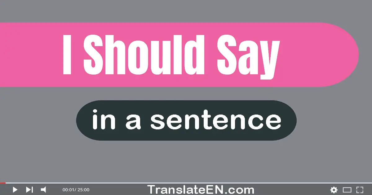 Use "i should say" in a sentence | "i should say" sentence examples