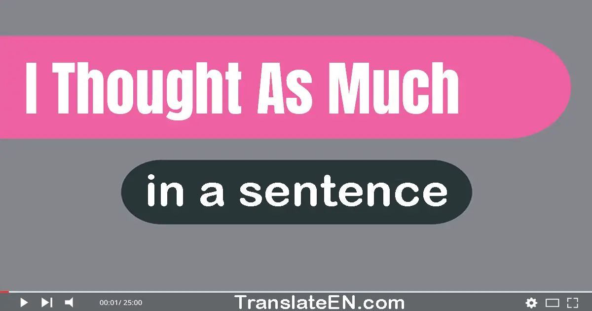 Use "I thought as much" in a sentence | "I thought as much" sentence examples