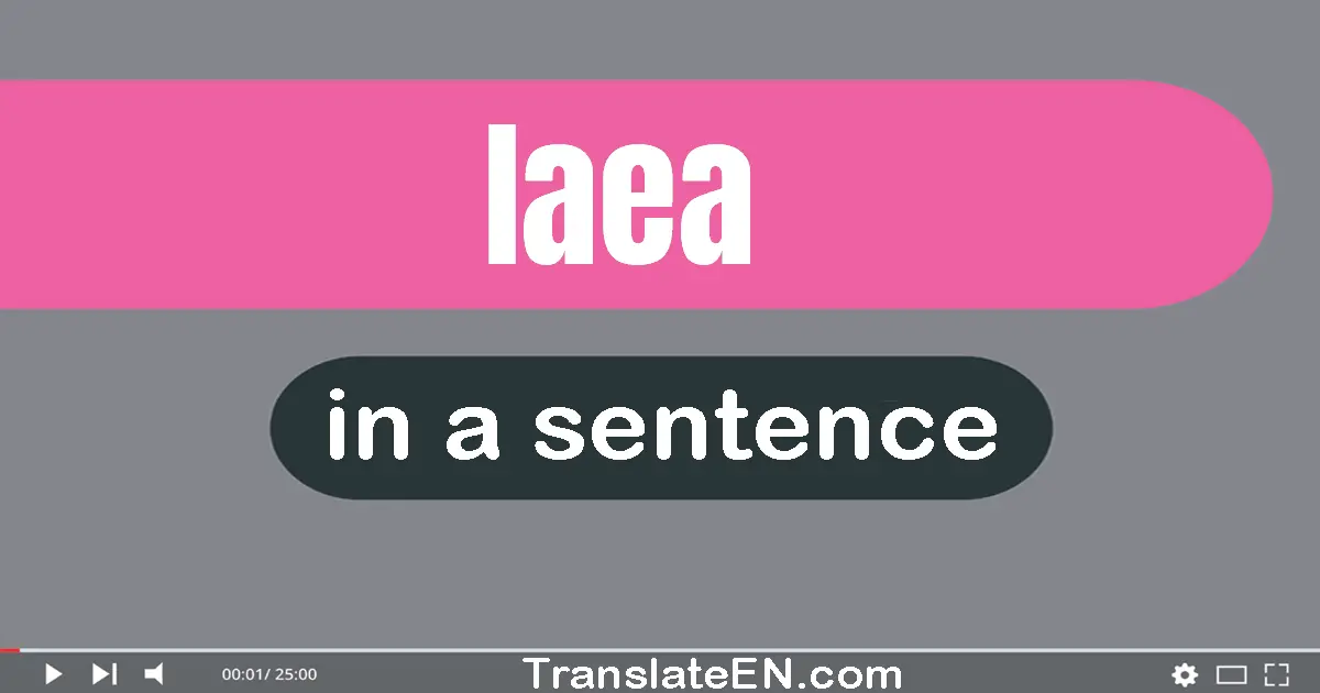 Use "iaea" in a sentence | "iaea" sentence examples