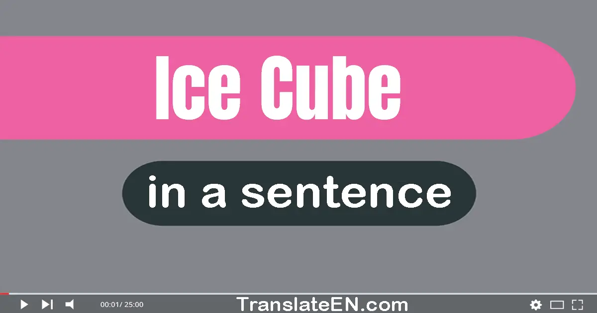 Ice Cube in a sentence