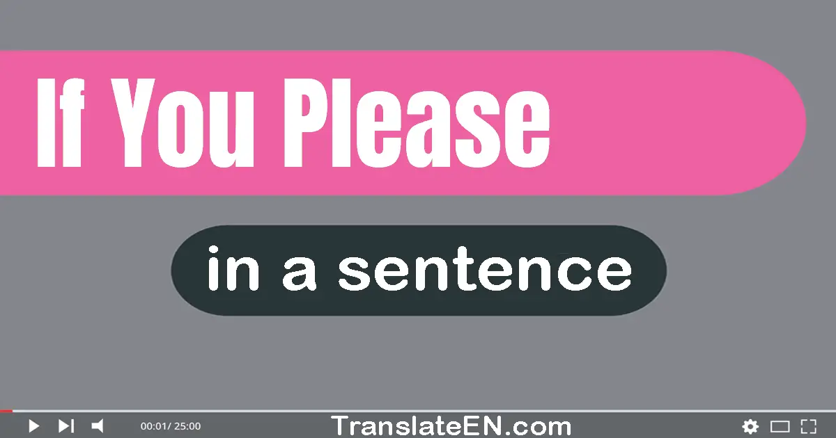 Use "if you please" in a sentence | "if you please" sentence examples